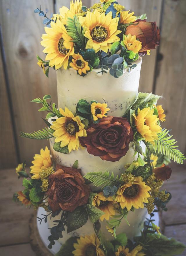 Baker Cake - 1