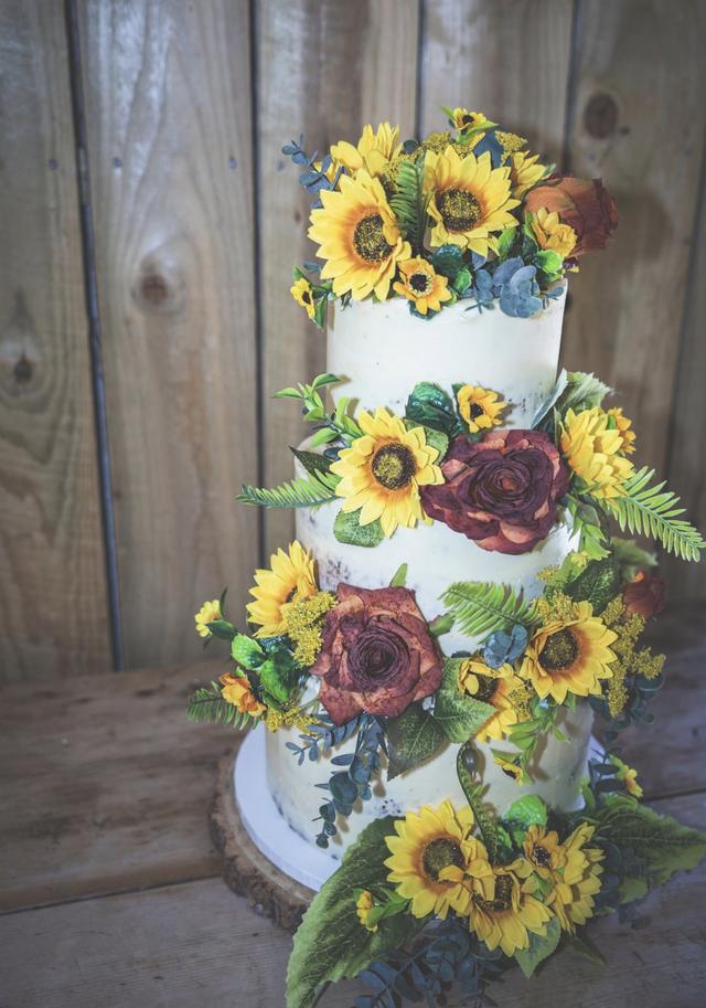 Baker Cake - 2