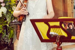 Saltmarsh Strings - Solo Violin, Trio and Quartet - 7