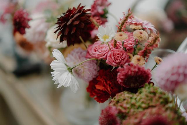 Willow & Wilde Photography and Film - 3