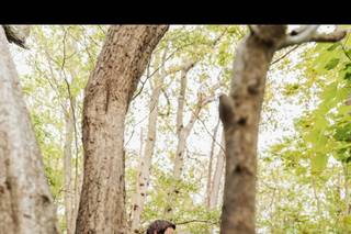 White Fox Photography - 11