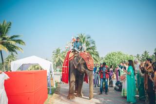Antony R Turner Photography - 12