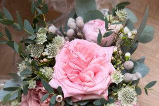 Petals and Pampas - 9