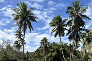 Annette Webb Travel Expert Beach Life Direct Travel - 7