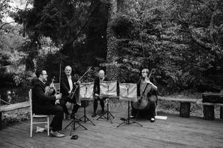 Vitula String Quartet - 5