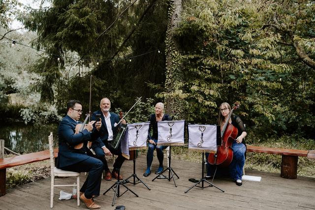 Vitula String Quartet - 3