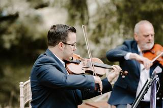 Vitula String Quartet - 7