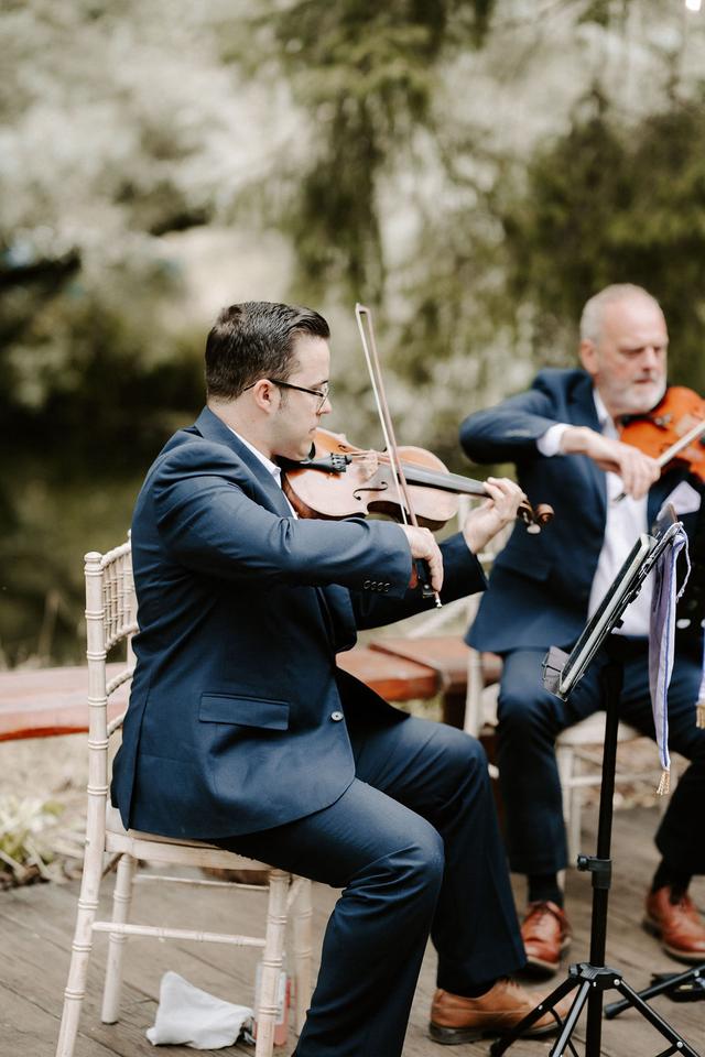 Vitula String Quartet - 2