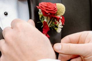 Petals and Pampas - 5