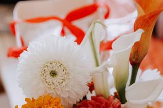 Wild Petals - 9
