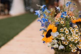 Kirstin Shearer Photography - 9