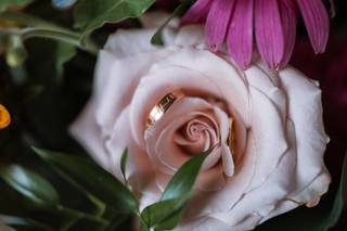 Kirstin Shearer Photography - 10