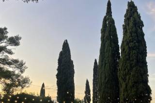 Tenuta Riseccoli - 5