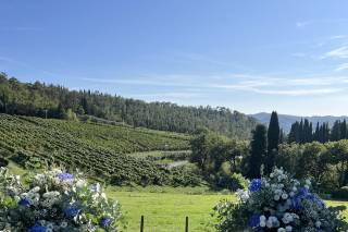 Tenuta Riseccoli - 6