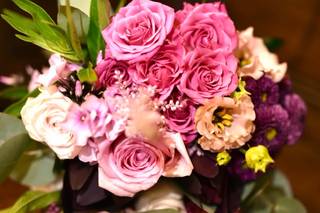 Tasha Boorman Photography - 5