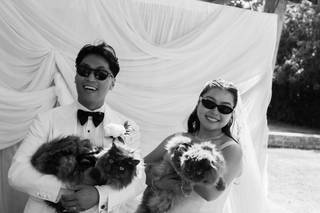 Weddings by Dan - 7
