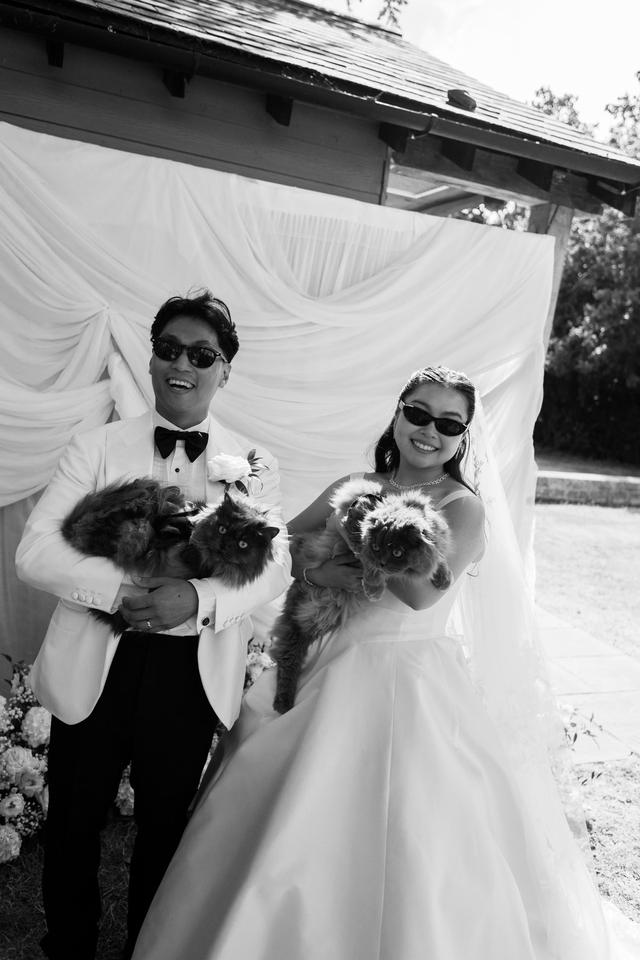 Weddings by Dan - 2