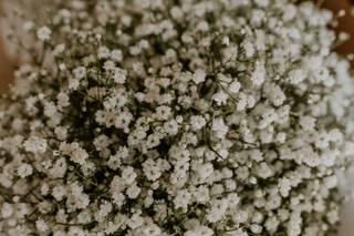 Dawn Rose Welburn - 6