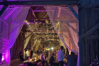 Ark Buffalo Barn - 5