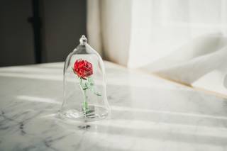 Christopher Bell Photography - 16