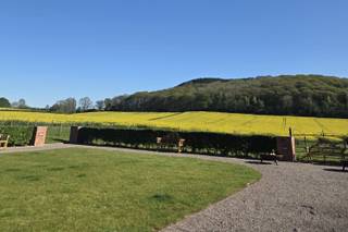 Brinsop Court Manor House and Barn - 6