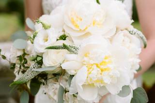 Eva Tarnok Photography - 8