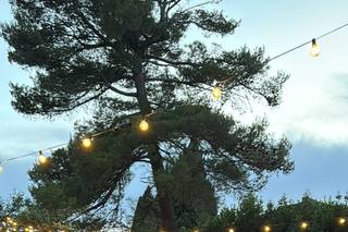 Tenuta Riseccoli - 19