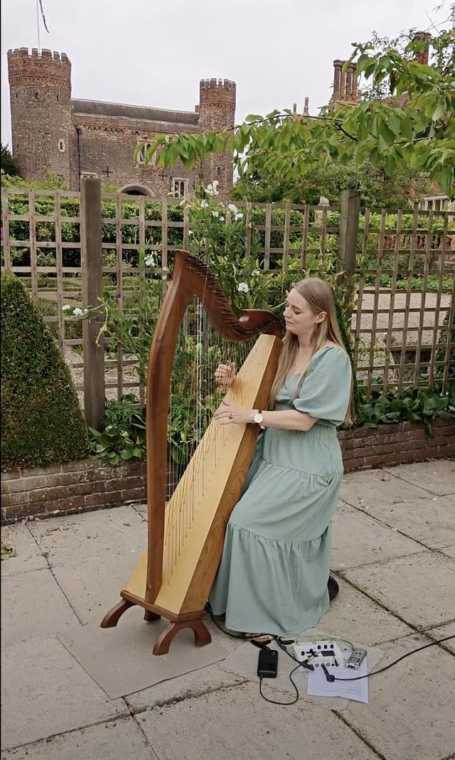 Christine Palethorpe (Nottingham Harpist) - 3