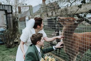 Bluebell Barn at Secret World Wildlife Rescue - 8