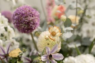 Colonnade Florist - 11