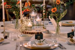 Vow and Wow - 14