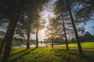 Capesthorne Hall - 13