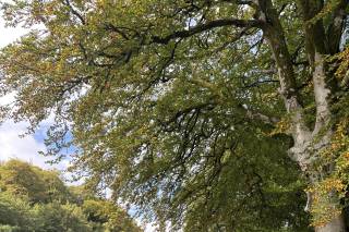Dunkeld House Hotel - 7