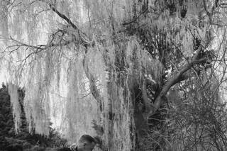 Sophie Allen Photography - 9