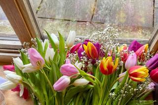 Bristol Wedding & Funeral Celebrant Kay Hamilton - 6