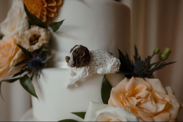 Cake-tastic Worcestershire - 4