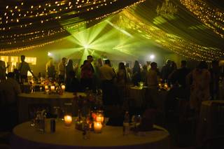 Wedding & Event Dj Steve Dee - 4