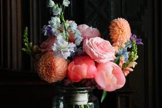 Vista & Bloom - 9