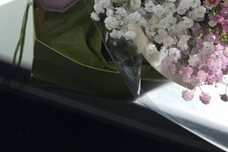 Lily Cora Flowers - 11