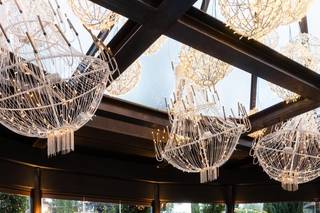 Daisy Weddings & Events - 6