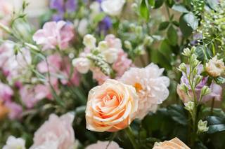 White & Winsome - 3