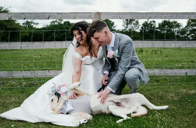 Rylands Farmhouse & Events - 4