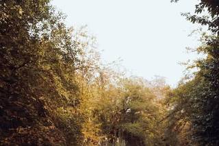Alex Meletiou Photography - 9