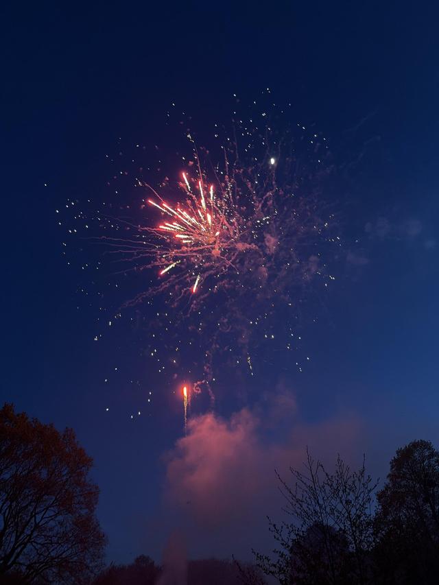 Dynamic Fireworks - 3