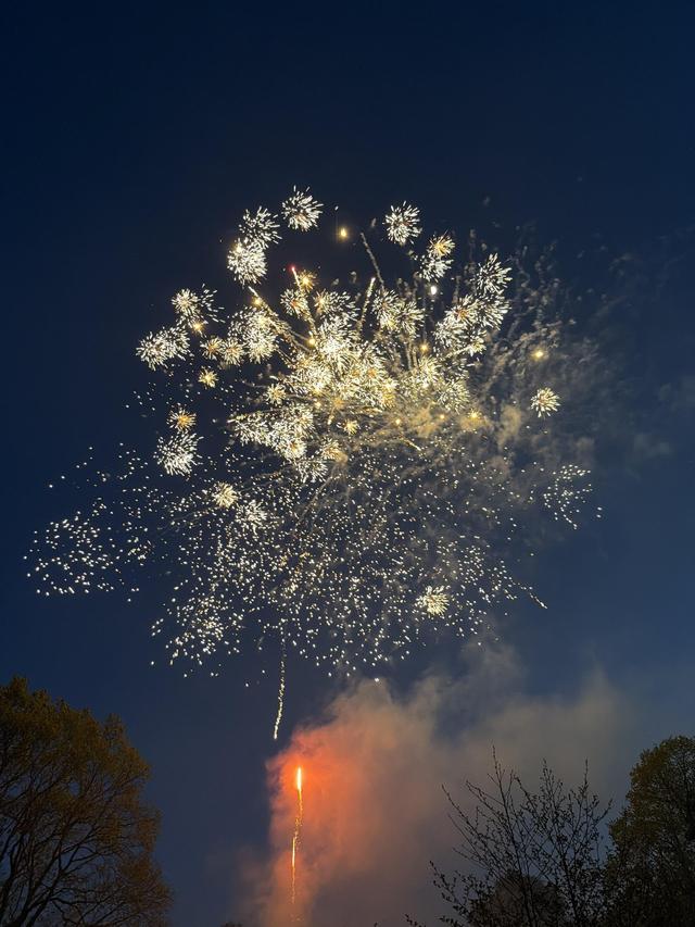 Dynamic Fireworks - 4