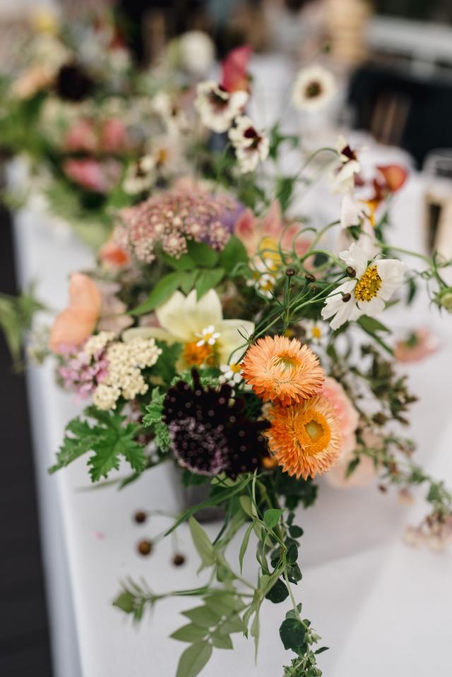 Bonington Blooms - 2