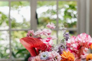 Sweet Pea Sorbet - 15