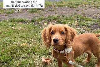 Sherry & Paws - 7