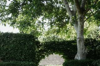 Pauntley Court - 7