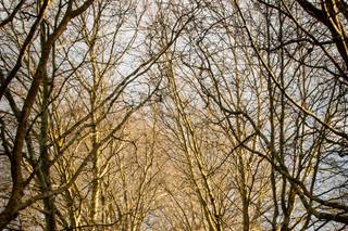 Camilla Harney Photography - 5